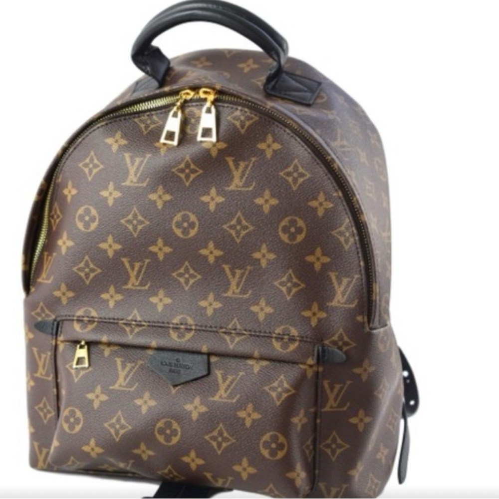 Louis Vuitton 
Monogram Palm Springs Backpack PM